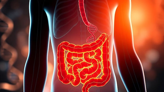 ACS Updates Colon Cancer Screening: Blood and At-Home Stool Tests