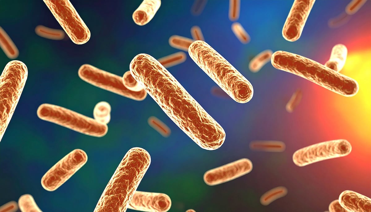 3 Deaths, 67 People in NYC Diagnosed With Legionnaires' Disease