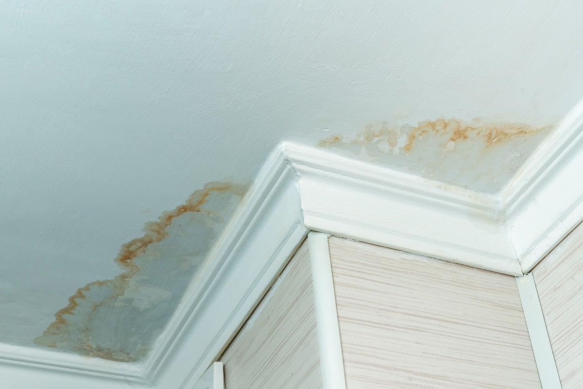 Water-Damaged Homes, Heavy Air Pollution Increase Asthma Risk In Kids