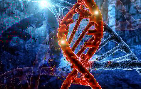 日本人の糖尿病関連腎臓病、研究で病原性変異が明らかに