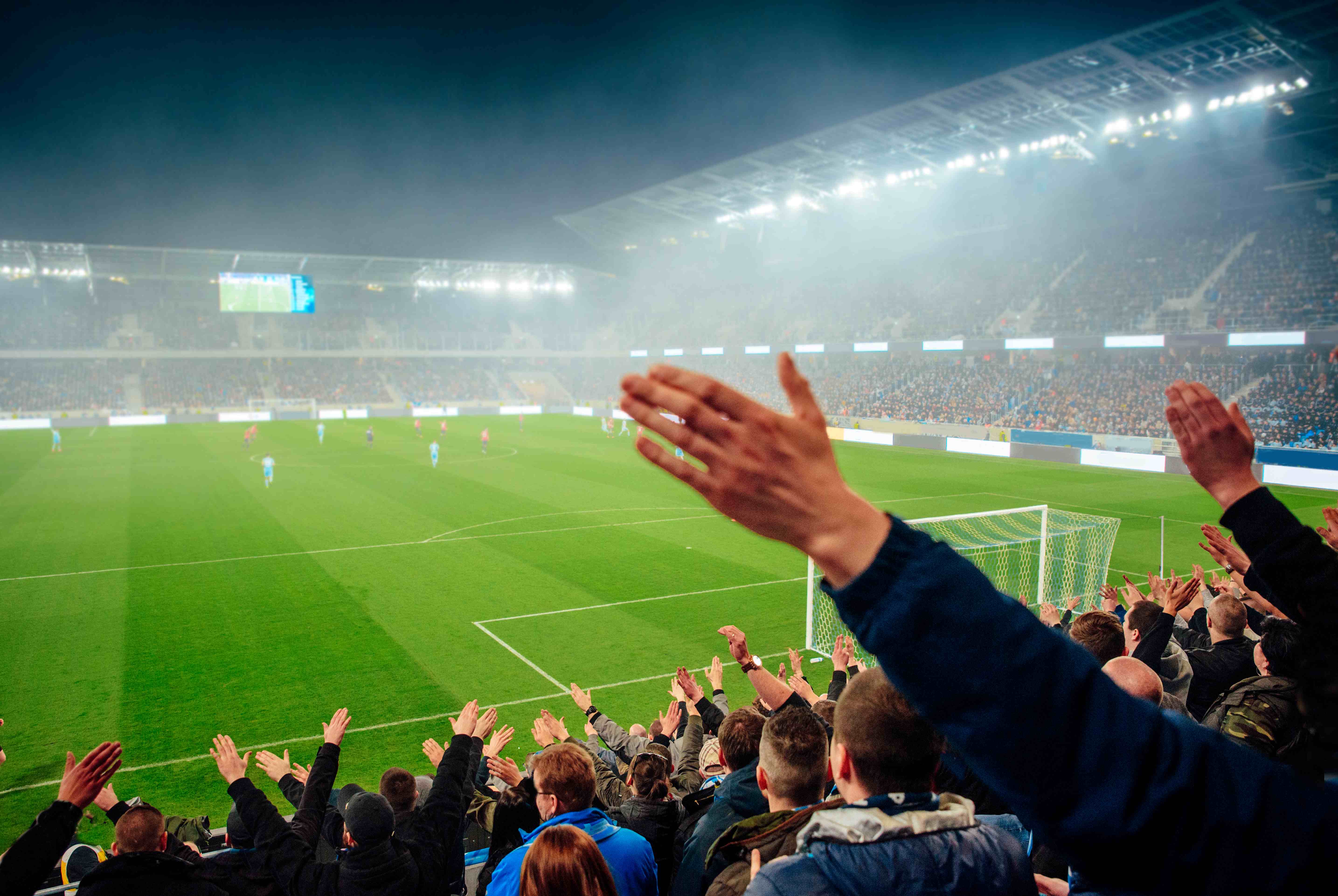 スポーツを現地観戦する高齢者は幸福感が高い