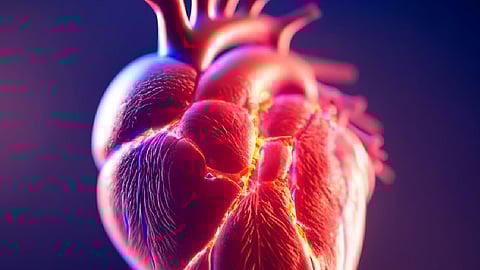 都市部と農村部で心血管系疾患のリスク因子、有病率は異なる