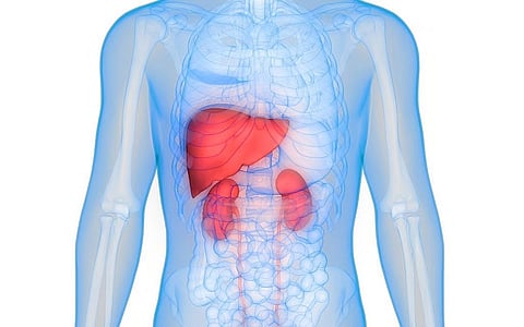 アルコール性肝硬変患者の急性腎障害、予後予測にはLasso-LRモデルが最適