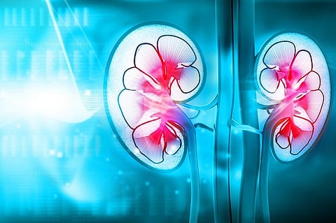 慢性腎臓病が歯の喪失リスク上昇と関連する可能性