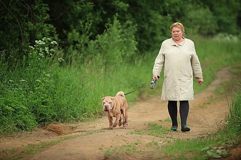 1日5,000〜7,500歩の歩行がアルツハイマー病から脳を守る？