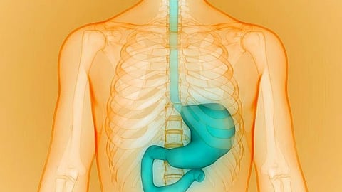 胃不全麻痺の診断と管理に関するガイドライン策定、米国消化器病学会