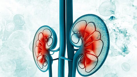 eGFRcrとeGFRcysの乖離が予後不良と関連――ASN