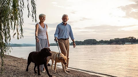 身体活動量は消化器がんリスクと関連