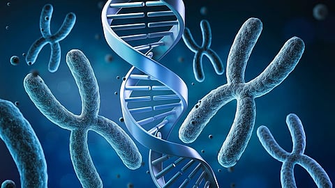 エクソーム解析で家族性高コレステロール血症の遺伝子変異保有者を特定可能