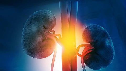 ADPKD腎摘除術における低侵襲アプローチの有用性と周術期アウトカム