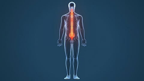 脊髄損傷患者の運動制御と感覚フィードバックを同時に一部再現