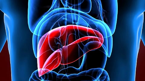 肝硬変患者の肝性脳症リスク、フレイル評価で予測可能か