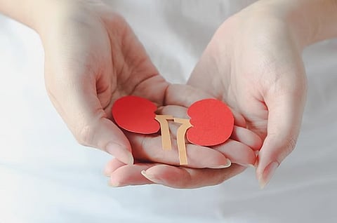 認知機能障害が慢性腎臓病患者の不良な臨床転帰と関連