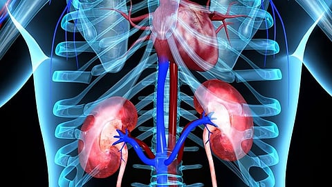 新規発症の心房細動が腎機能低下を加速させる可能性
