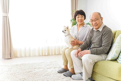 犬を飼う高齢者、要介護認知症リスク低下と関連――医療・介護費抑制の可能性も