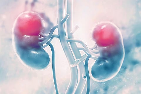 慢性腎臓病の有病率は2013年から2023年にかけて横ばい