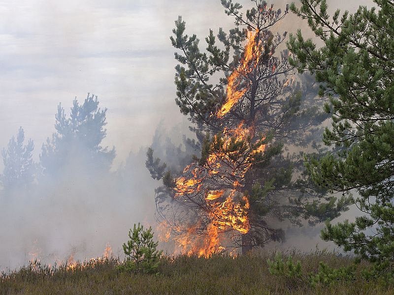 Skin Conditions Flare Up When Wildfires Nearby