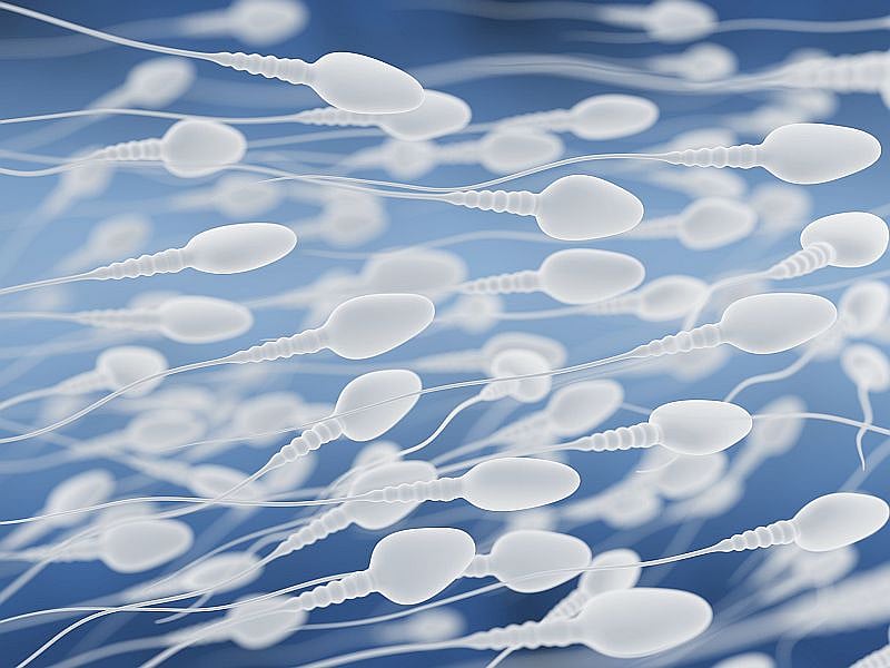 Semen Has a Microbiome Too, and It Might Affect Fertility