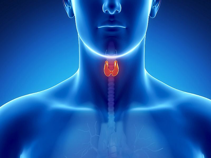 Microwave Treatment Could Be an Advance Against Thyroid Tumors