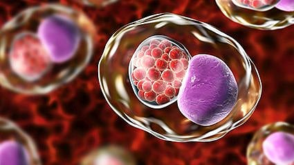 FDA Approves First At-Home Test for Chlamydia, Gonorrhea