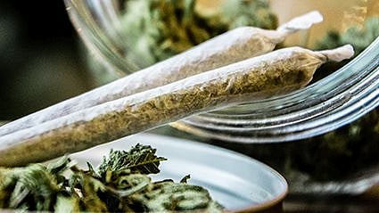 FDA Review Supports Reclassifying Marijuana as Less Risky Drug