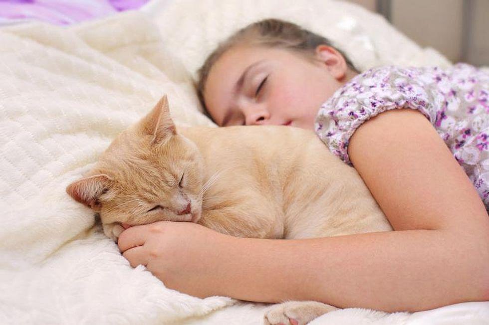 Can I Get Sick From My Pet?