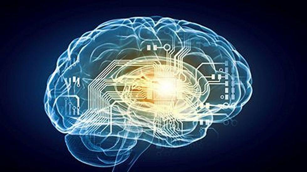 Scientists May Have Located Your Brain's 'Neural Compass'