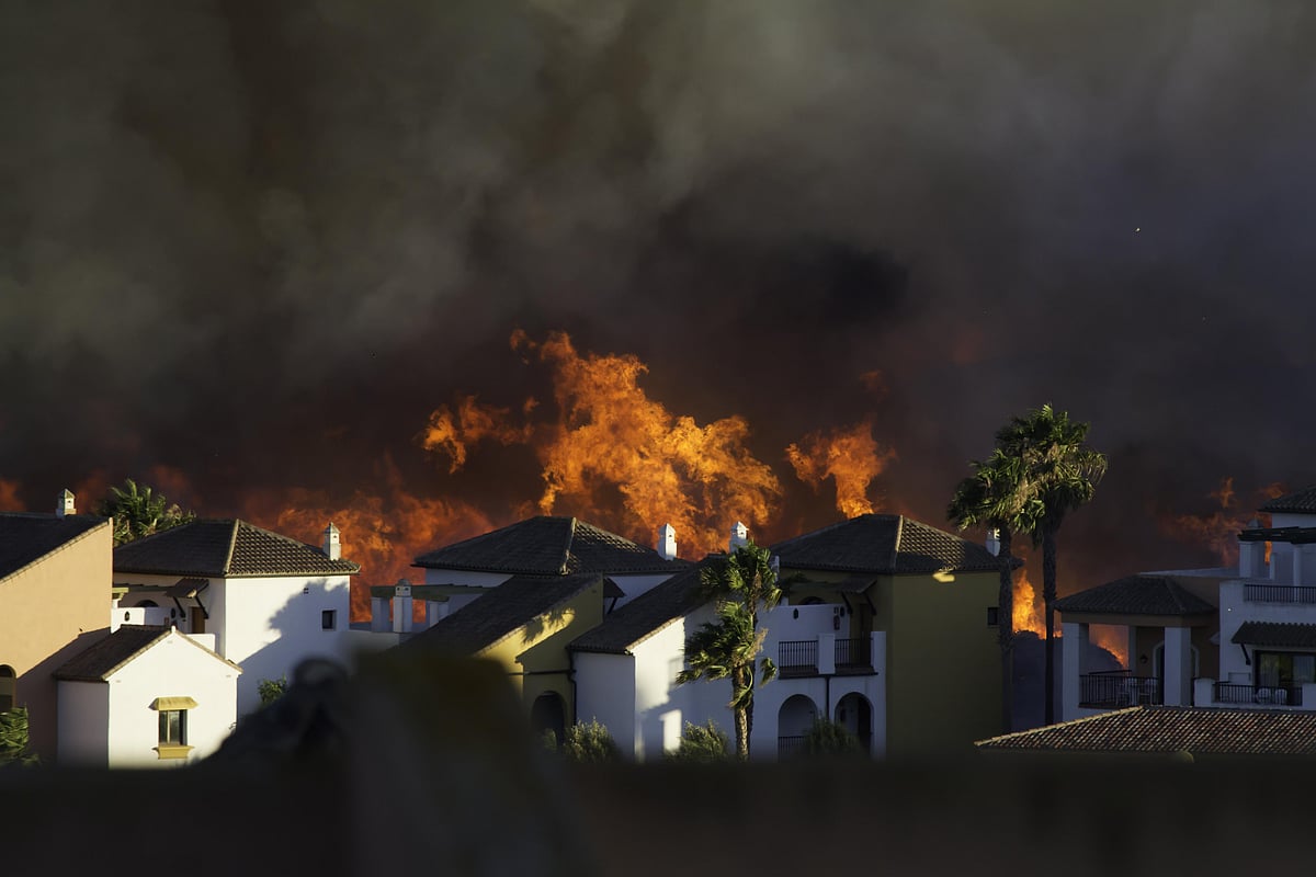 Controlled Fires Cut Wildfire Risk by 60%, Study Shows