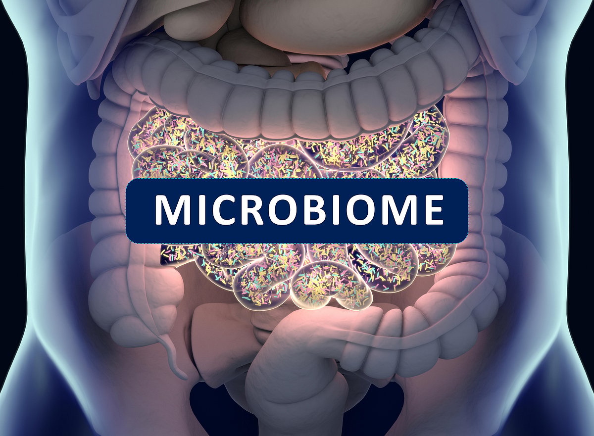 Some Gut Bugs May Help Lower Your Cholesterol