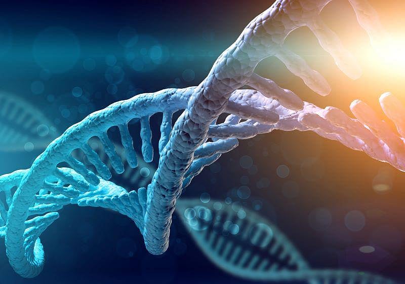 Rare Genes Can Raise Odds for Obesity 6-Fold