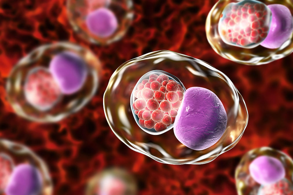 Chlamydia: What It Is, Symptoms, Treatment & More Chlamydia: What It Is, Symptoms, Treatment & More