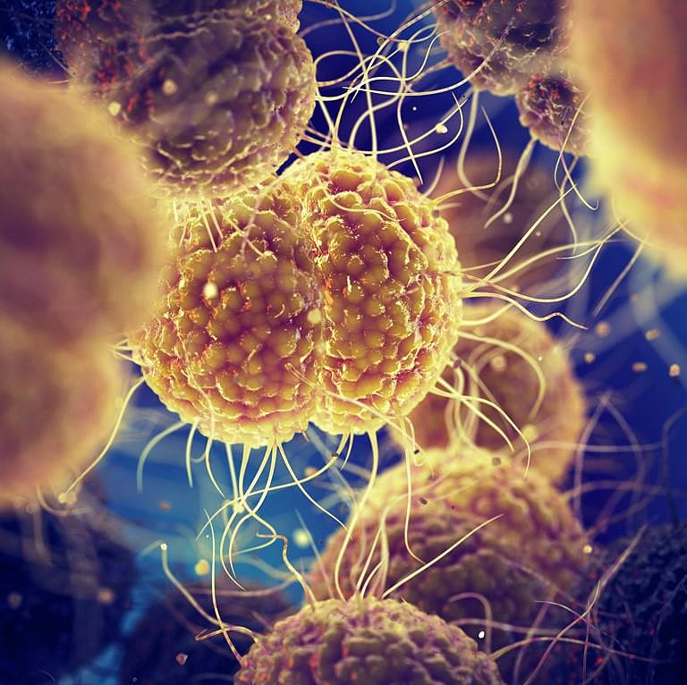 Gonorrhea What It Is, Symptoms, Treatment & More