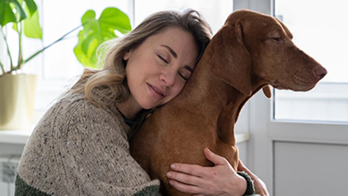 Chihuahua or Great Dane: Your Dog's Size May Affect Their Disease Risk