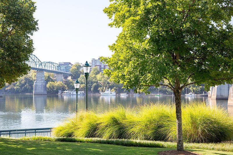 Neighborhood Parks Could Help Your Aging Brain
