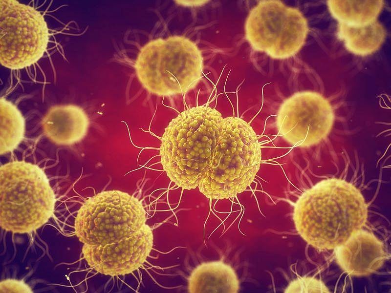 The Most Common Sexually Transmitted Infections (STIs)