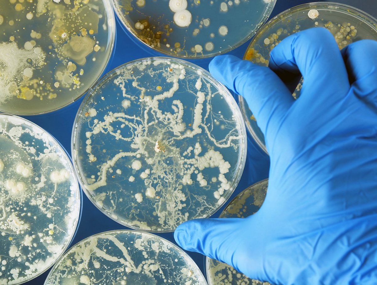 Medical Tourism in Mexico Led to Deadly Fungal Illness for Americans