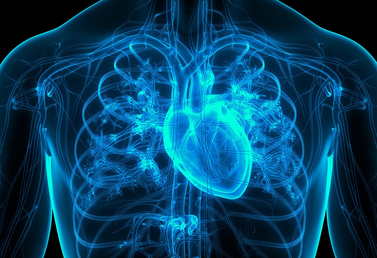 Experimental Pacemaker Can Recharge Its Own Battery