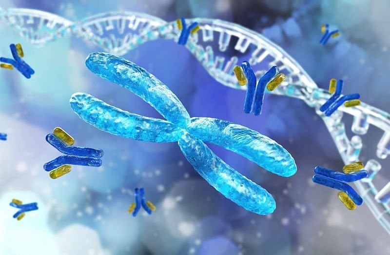 'Ancient Gene Bank' Gives Clues to Diseases Common to Europeans