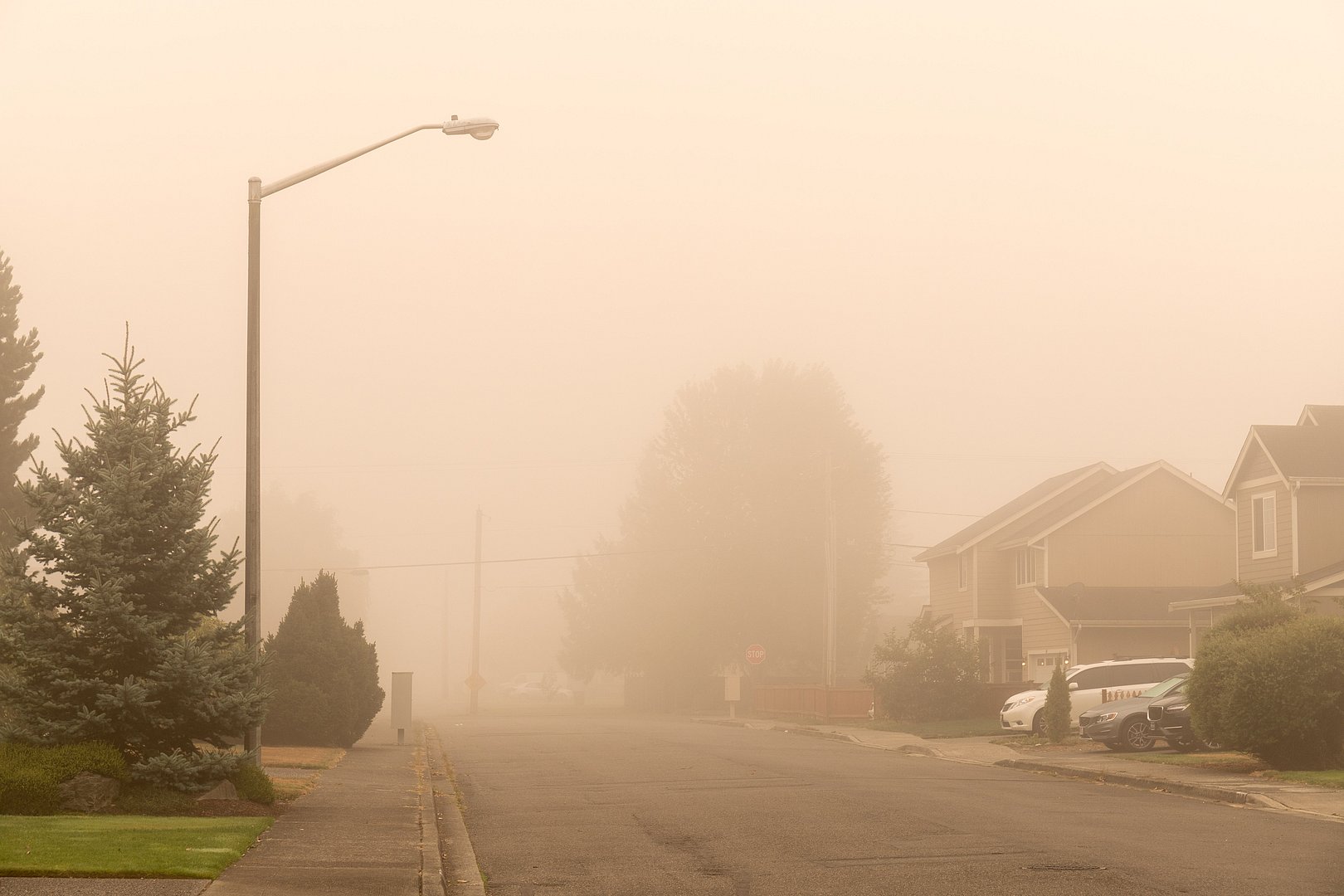 Wildfire Smoke An Increasing Hazard To U.S. Pregnancies, Study Says