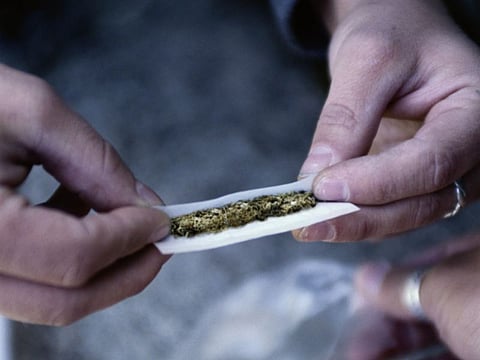 医療大麻を認める州では大麻の乱用が多い
