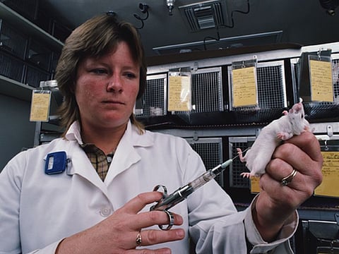 膵β細胞のインスリン分泌を阻害するタンパク質「SNAP23」を同定 －阪大、北大らの共同研究(2016.10.24配信)