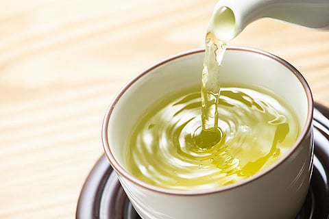 お茶の成分がストレスによる脳萎縮を予防――マウスでの研究