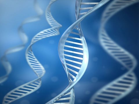 CRISPRによりがんと闘う免疫細胞を作り出すことに成功