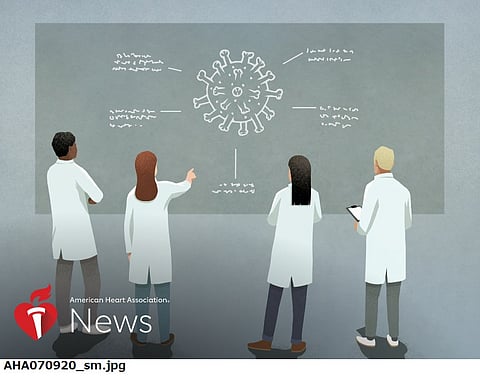 新型コロナウイルスなどの新しいウイルスはどこからやって来るのか？