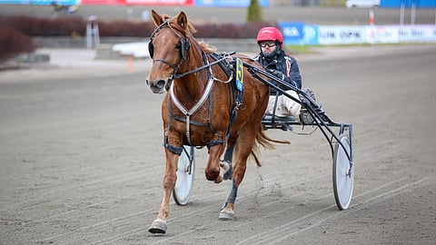 Virran Välke, Sami Ikonen
