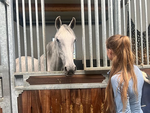 Cayadina on jo hevosautossa, matkalla Belgiasta Espanjaan. 