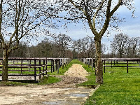 Kesäinen tarhaidylli keskemmältä Eurooppaa. 