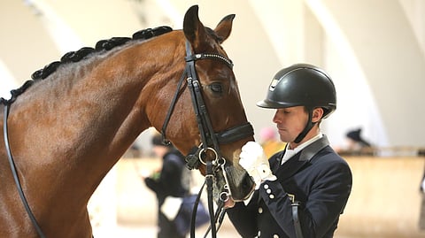 Ville Vaurio ja Dante NL. 