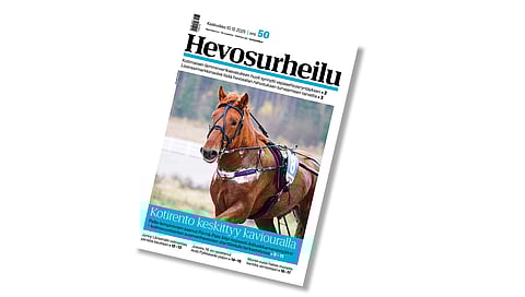 Hevosurheilun kansikuvahevosena on tällä viikolla Pörnä-Pate.