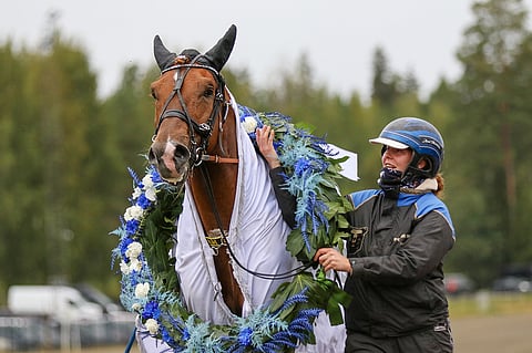 Weikon on tarkoitus keskittyä ensi kesänä pääasiallisesti tammanomistajien palvelemiseen.